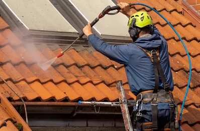 Démoussage et hydrofuge de toiture à Izon-la-Bruisse